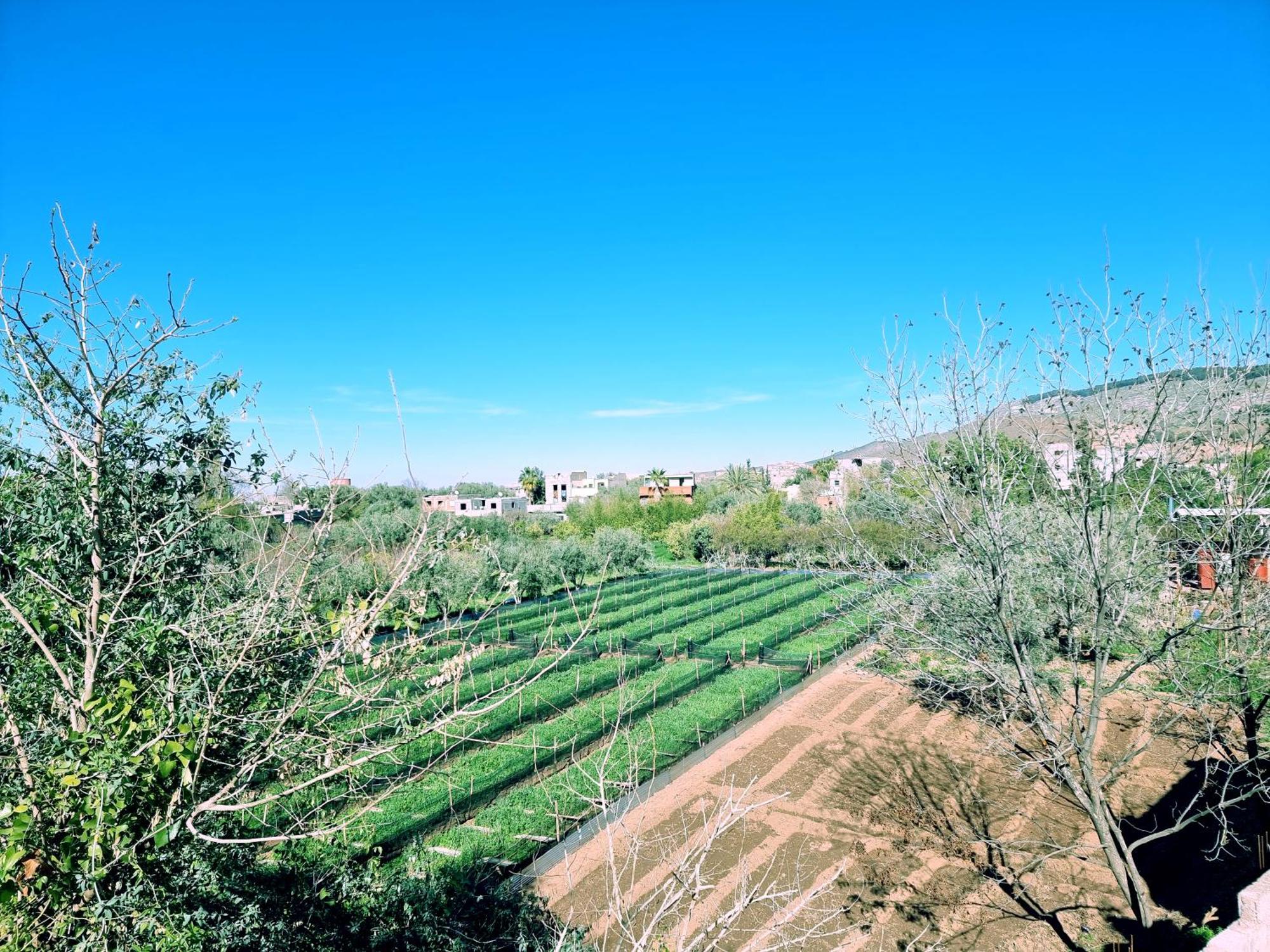 Villa Des Etoiles Ourika Bagian luar foto